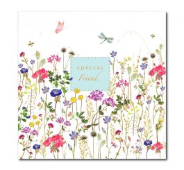 Special Friend Birthday Card