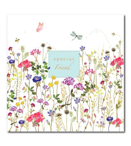 Special Friend Birthday Card