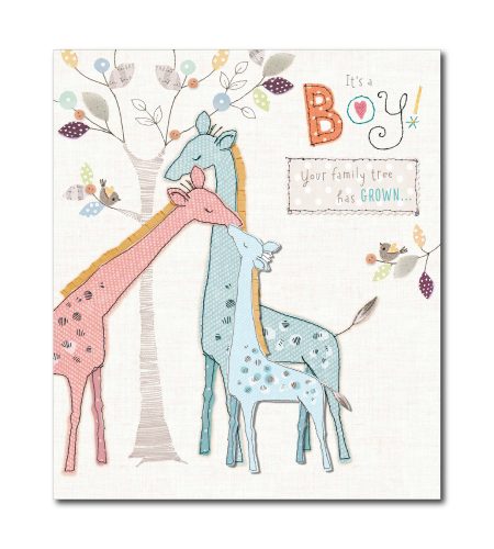 Baby Boy Birth Card
