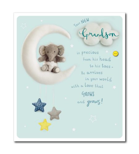 Grandson Birth Card