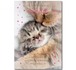 Cute Kittens Mother's Day Card