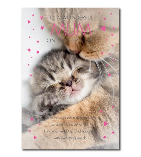 Cute Kittens Mother's Day Card