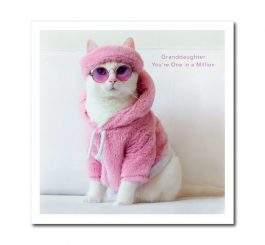 Cool Cat Granddaughter Birthday Card