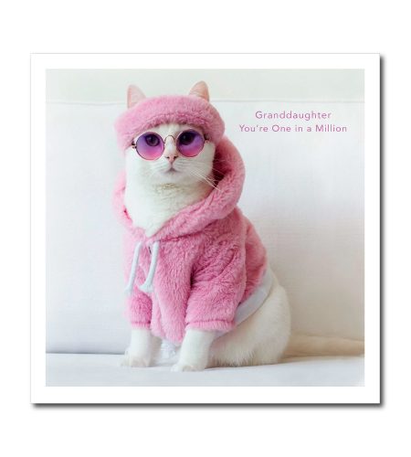 Cool Cat Granddaughter Birthday Card