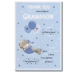 Grandson Birth Card