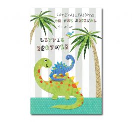 Brother Baby Birth Card