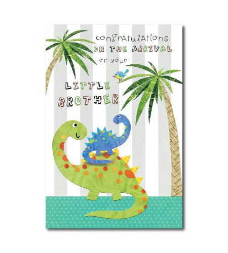 Brother Baby Birth Card