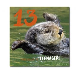 13th Birthday Card