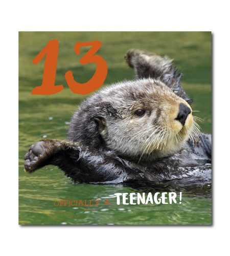 13th Birthday Card
