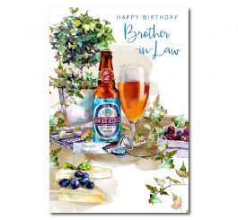 Brother In Law Birthday Card