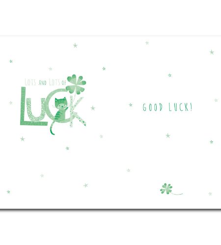 Lots of Luck Card - Image 2