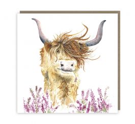 Highland Cow Blank Card