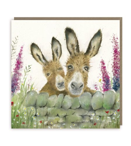 Donkeys Blank Card