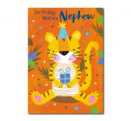 Nephew Birthday Card