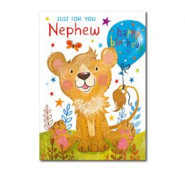 Nephew Birthday Card