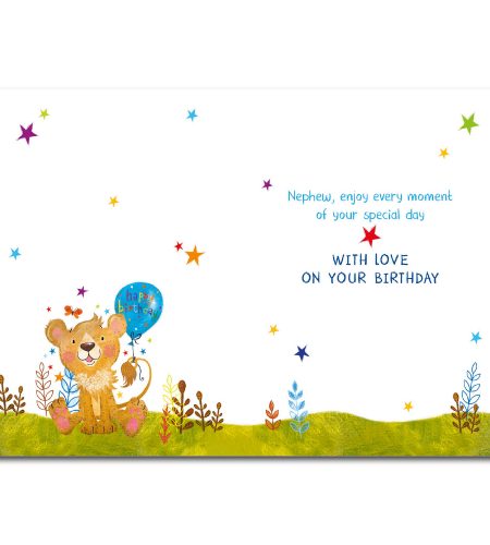 Nephew Birthday Card - Image 2