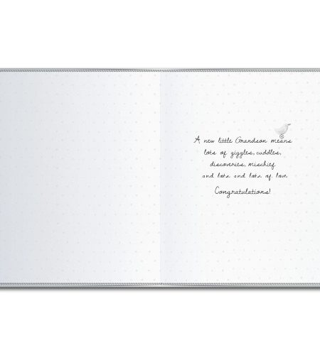 Grandson Birth Card - Image 2