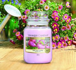 Yankee Candle Large Jar Pink Lady Slipper
